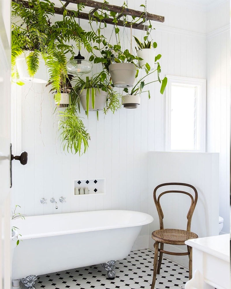 Badkamer ideeën planten