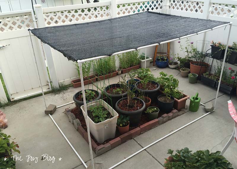 Tuin luifel steigerbuizen Tuin luifel steigerbuizen