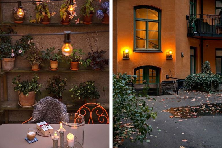 Een mooie herfst tuin! Een mooie herfst tuin!