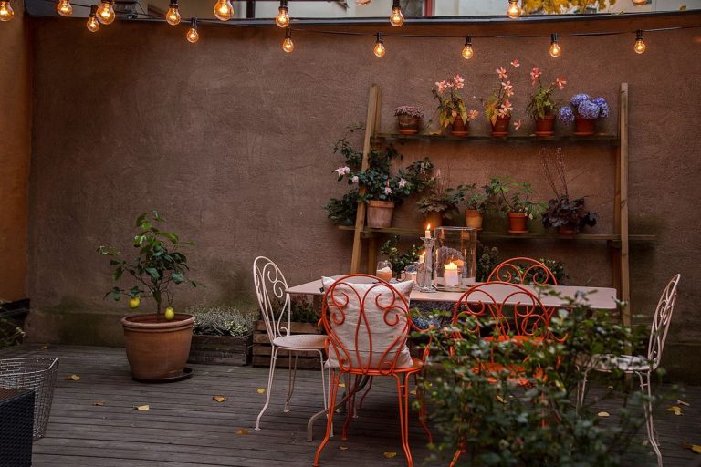 Een mooie herfst tuin! Een mooie herfst tuin!