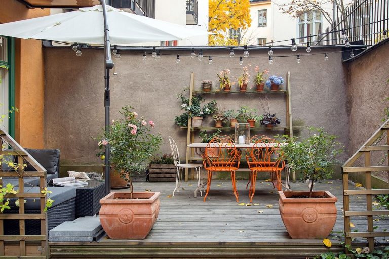 Een mooie herfst tuin!