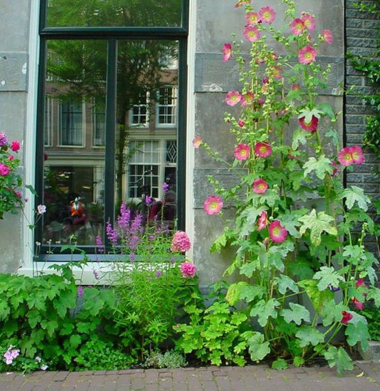 Geveltuin aanleggen