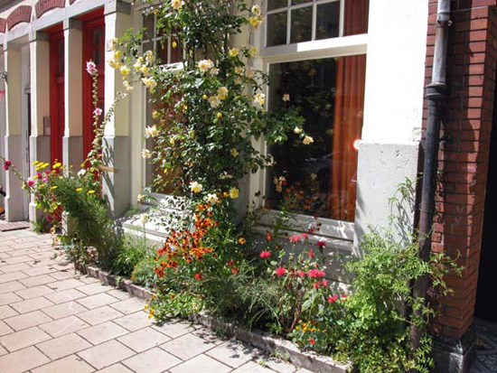 Geveltuin aanleggen