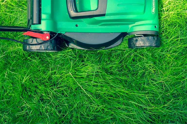 grasmaaier kopen tips