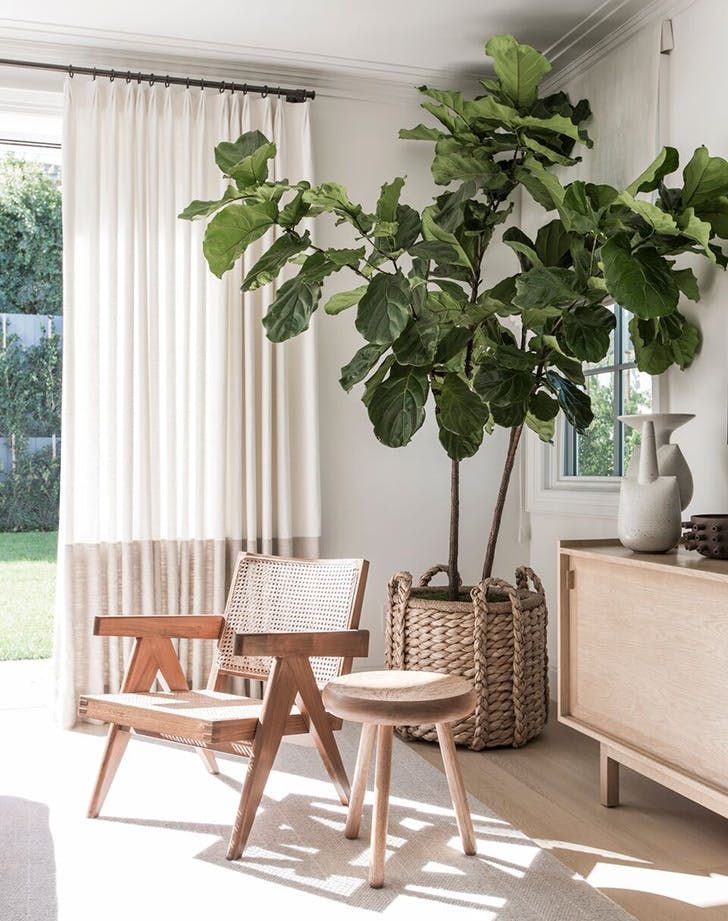 groen interieur planten groen interieur planten