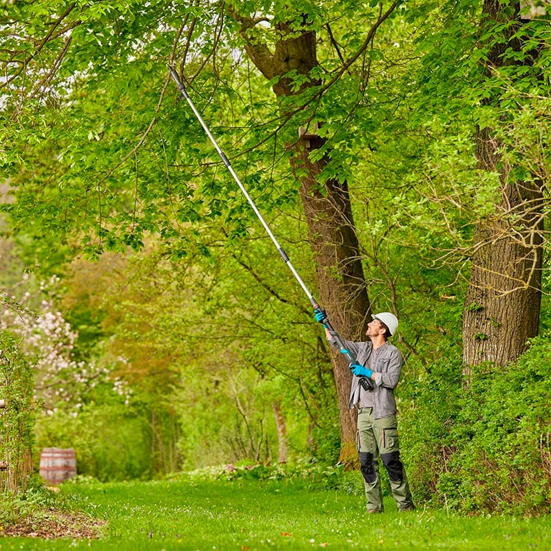 hoge boemen snoeien professional huren