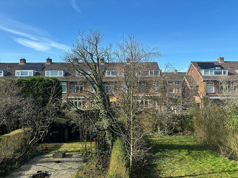 hoge bomen heggen tuin snoeien tips