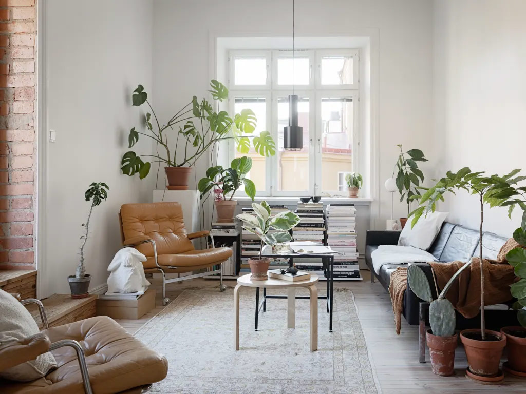 huis koel houden zonder airco planten