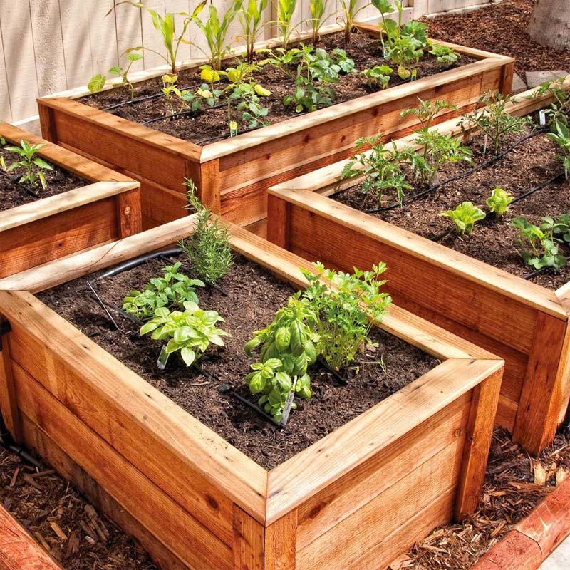 moestuin water geven irrigatie systeem moestuin water geven irrigatie systeem