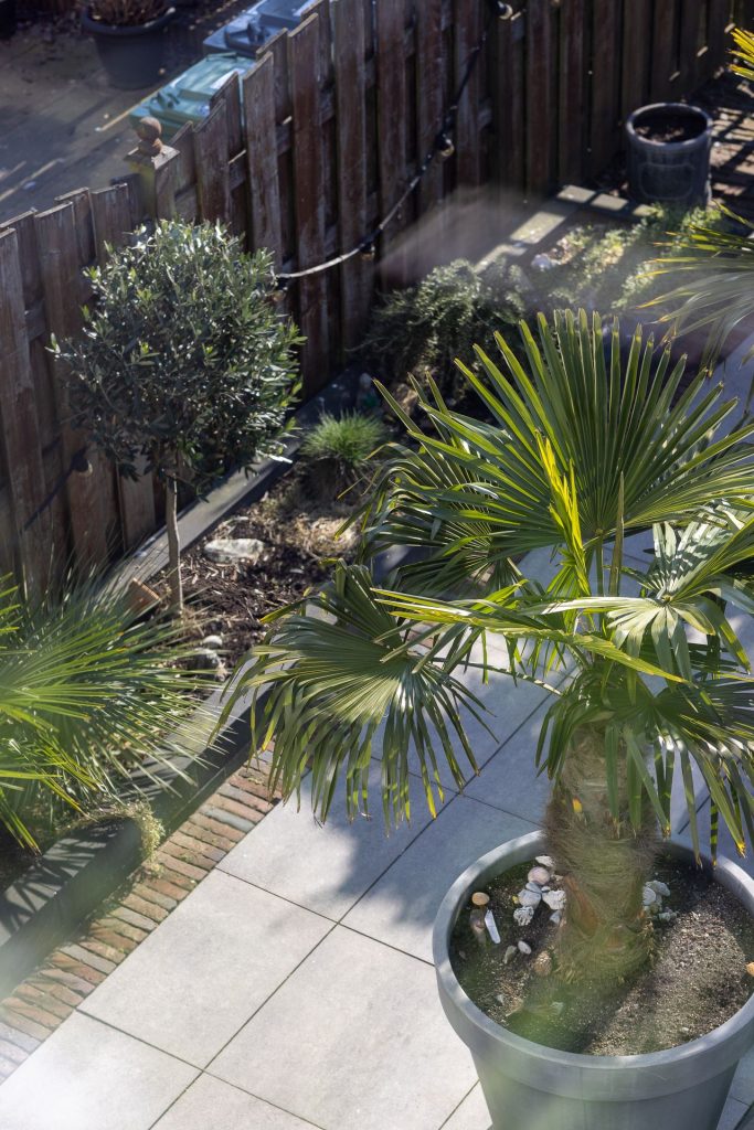 Tips voor planten in de tuin