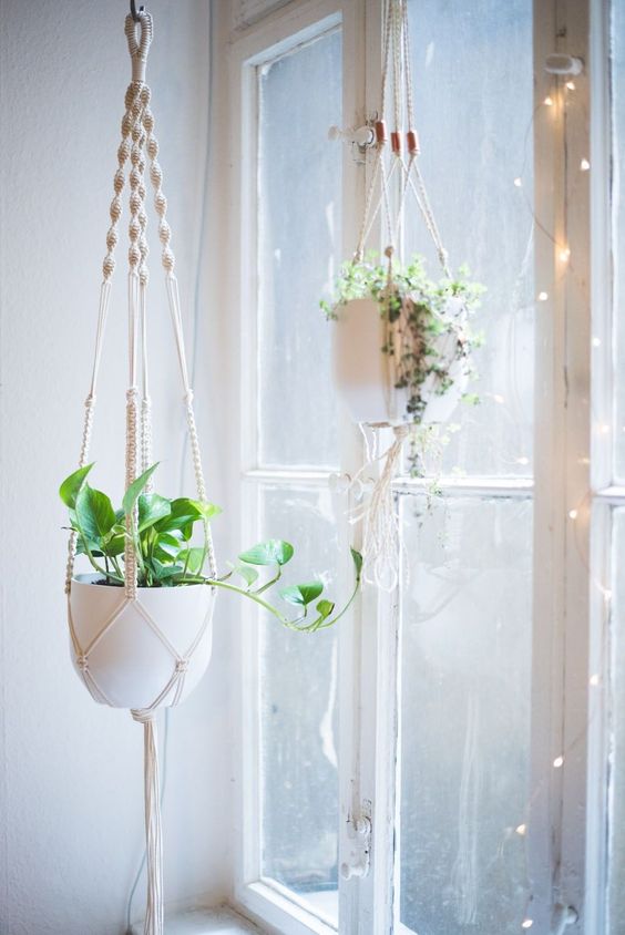 Planten ophangen: inspiratie & ideeën!