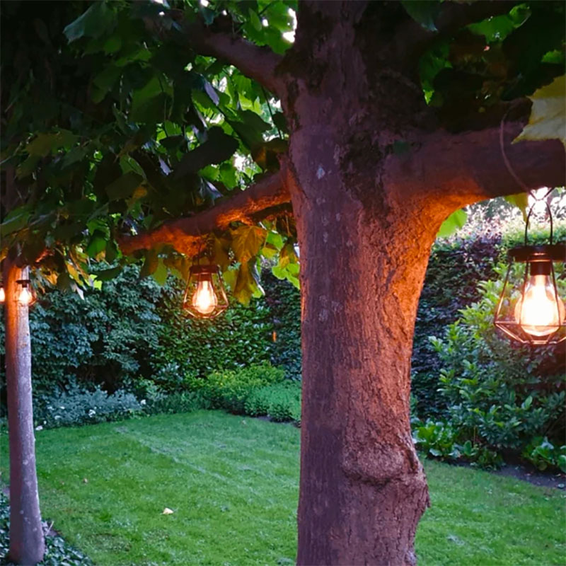 Trendy solar lampen onder een boom