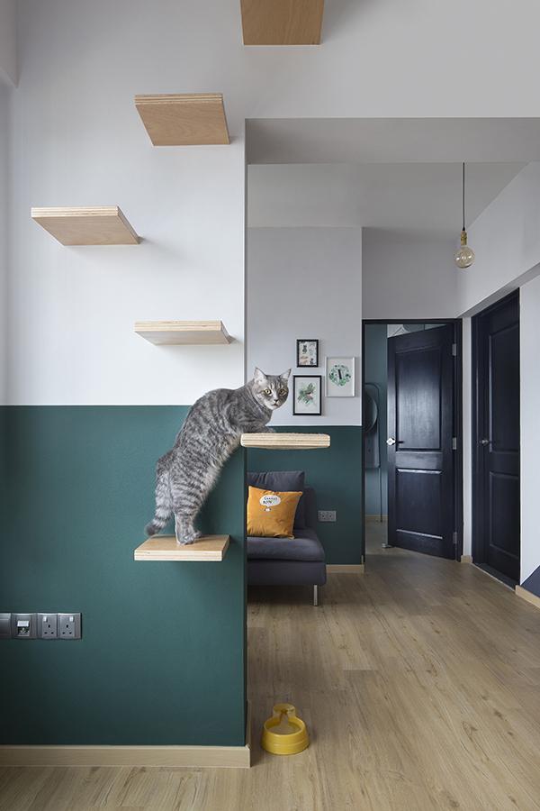 Super leuk en kat/poes vriendelijk appartement!