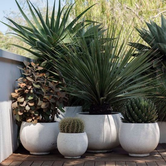 tuin idee versiering