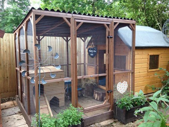 Vogels houden in de tuin