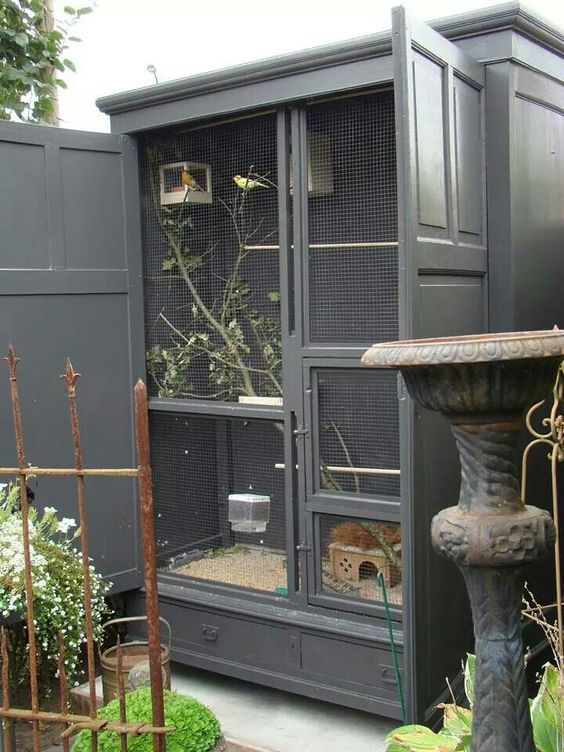 Vogels houden in de tuin