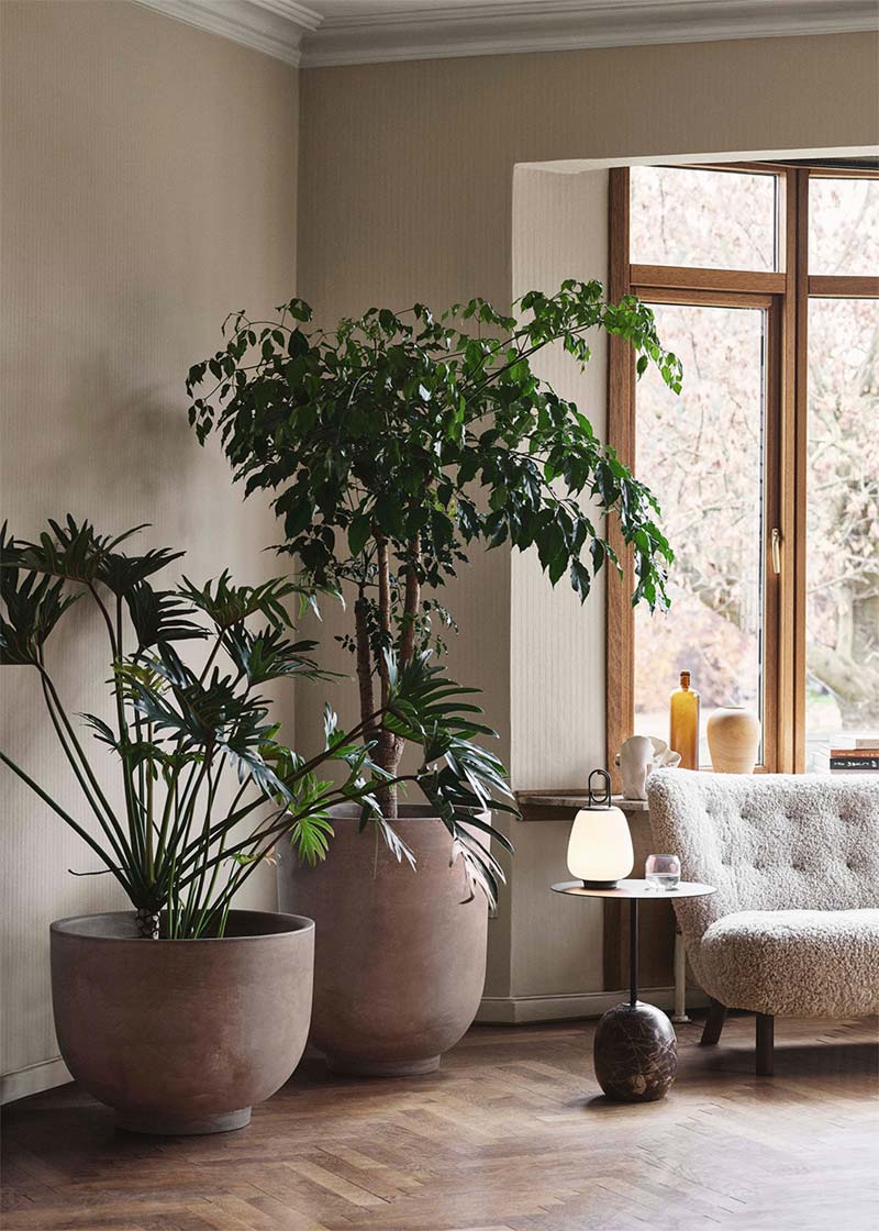 woonkamer inrichten tips planten woonkamer inrichten tips planten